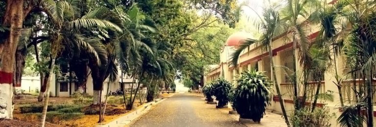 CIP 45379639 slider2 768x260