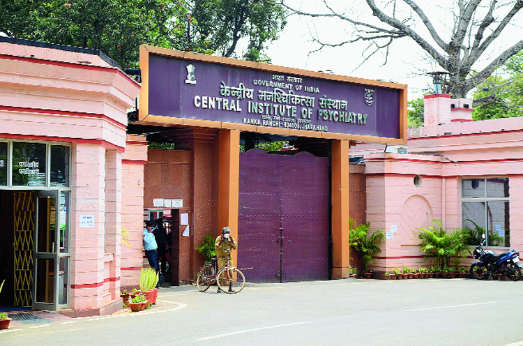 Cip 1
