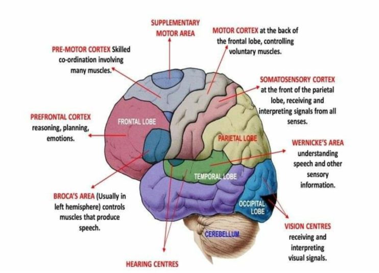 Screenshot_20200519-161452__01