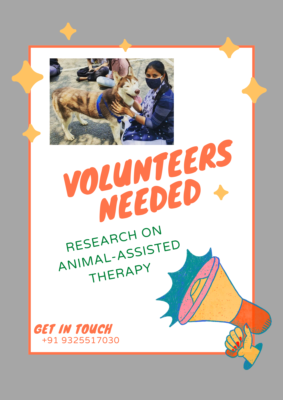 Volunteers for Research on Animal-Assisted Therapy - Internship - Psypathy